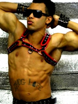 Avatar Toddy Anderson c