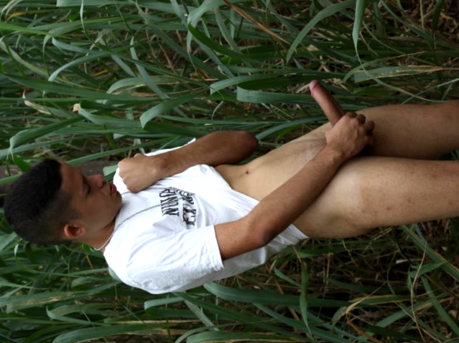 Capa do perfil