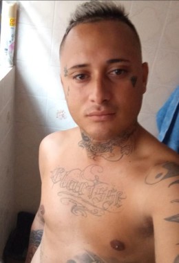 Avatar Bruno Barberino