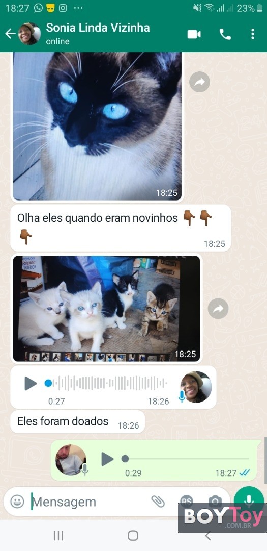 Foto da galeria