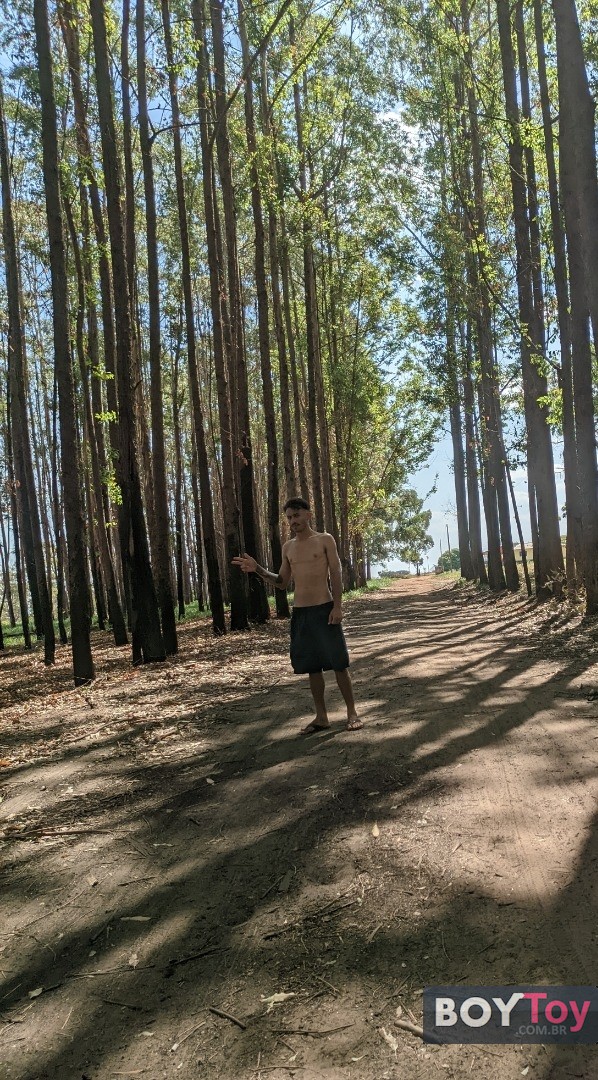 Foto da galeria
