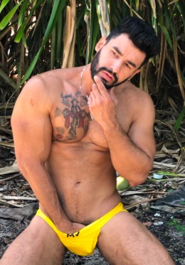 Avatar moreno tesao
